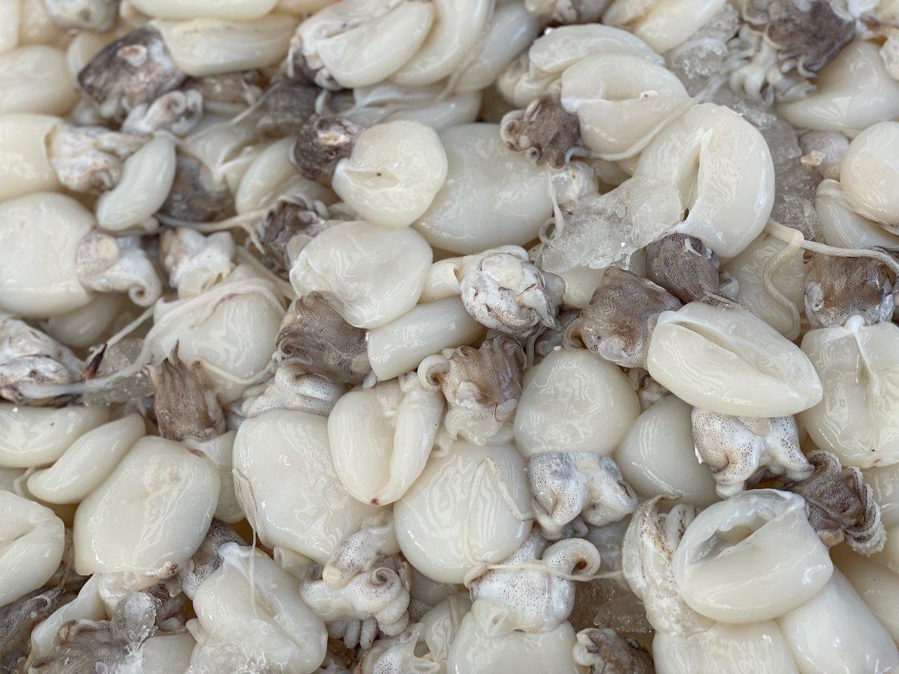 Seppioline pacifiche decongelate - Pescheria Ferroni | Milano