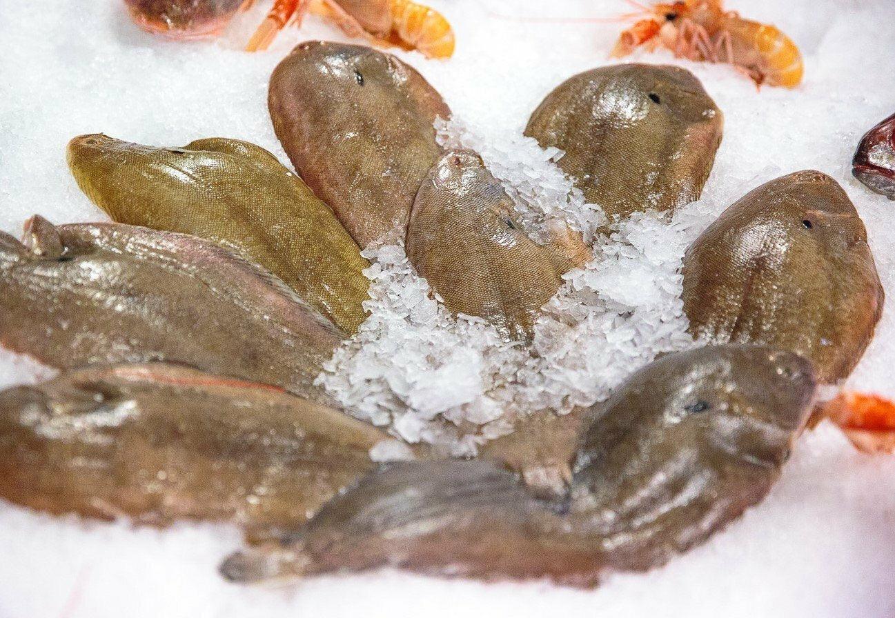 Sogliola atlantica - Pescheria Ferroni | Milano