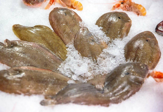 Sogliola atlantica - Pescheria Ferroni | Milano