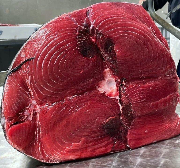 Tonno rosso Italia - Pescheria Ferroni | Milano