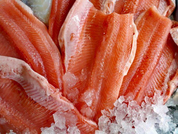 Trota salmonata - Pescheria Ferroni | Milano