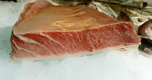 Ventresca di tonno a pinne gialle fresca