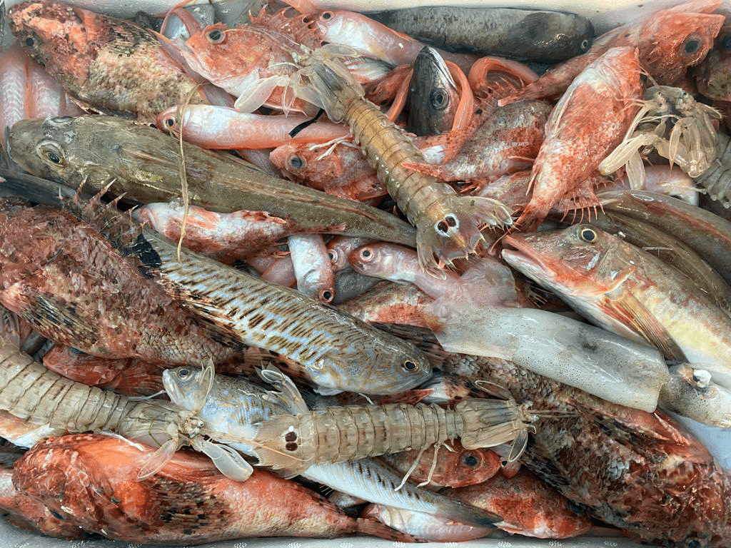 Zuppa di pesce - Pescheria Ferroni dal 1910